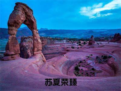 苏夏荣臻全文免费阅读（荣臻苏夏）全文无删减版在线阅读_苏夏荣臻全文免费阅读最新章节列表_笔趣阁