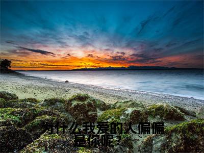 为什么我爱的人偏偏是你呢？ (白思柔厉寒庭)小说全文免费阅读无弹窗大结局_为什么我爱的人偏偏是你呢？ 最新章节列表