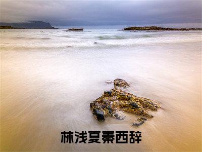 林浅夏秦西辞（秦西辞林浅夏）是哪部小说的主角-林浅夏秦西辞（秦西辞林浅夏）全文无弹窗完整版阅读