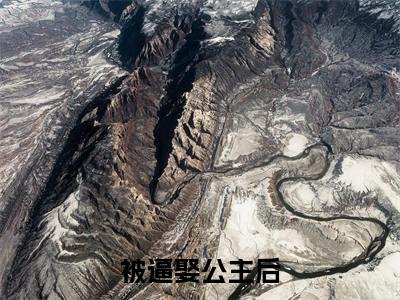  王修苏晚晴小说全文-被逼娶公主后，他直接坐了皇位小说免费阅读大结局