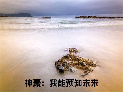 神豪：我能预知未来(钱陆)全文免费阅读无弹窗大结局_神豪：我能预知未来最新章节列表_笔趣阁（钱陆）