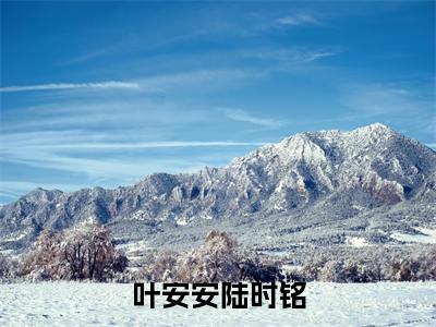 叶安安陆时铭（陆时铭叶安安）热门小说盘点在线阅读-叶安安陆时铭小说无弹窗