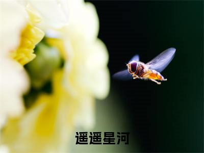 遥遥星河（温孟然）小说-遥遥星河小说免费最新章节列表