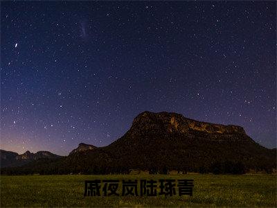 陆琢青戚夜岚（戚夜岚陆琢青）最新热门小说榜单推荐-陆琢青戚夜岚最新章节免费阅读