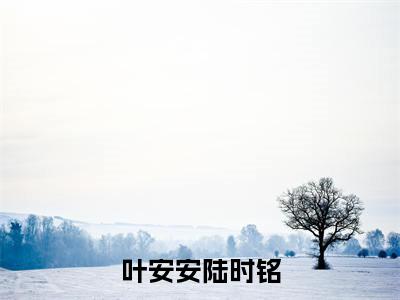 叶安安陆时铭（陆时铭叶安安）小说免费在线阅读_叶安安陆时铭全本免费小说阅读（陆时铭叶安安）