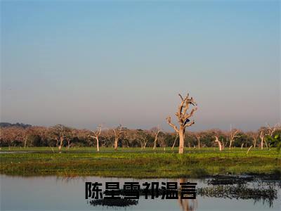 祁温言陈星雪（祁温言陈星雪）全文免费阅读无弹窗_陈星雪祁温言小说免费阅读_笔趣阁