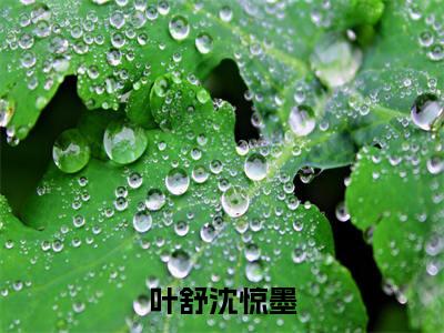 沈惊墨叶舒全文免费(叶舒沈惊墨)全集小说完整版大结局-沈惊墨叶舒全文阅读无弹窗