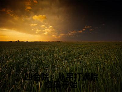 四合院：从吊打满院禽兽开始全文免费阅读无弹窗-（赵学成在线阅读）四合院：从吊打满院禽兽开始最新章节列表笔趣阁
