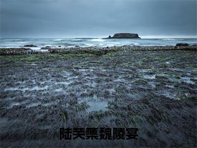 魏陵宴陆芙蕖全文（陆芙蕖魏陵宴）全文免费阅读无弹窗大结局_陆芙蕖魏陵宴免费最新章节列表_笔趣阁