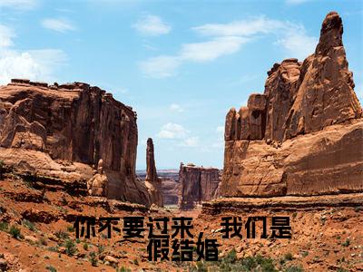 陆墨尘苏小影（你不要过来，我们是假结婚）全文免费阅读无弹窗-你不要过来，我们是假结婚完整版全文在线赏析