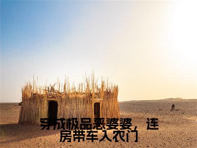 何翠枝方柳生（穿成极品恶婆婆，连房带车入农门）全文免费阅读大结局-何翠枝方柳生最新章节列表笔趣阁