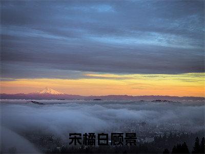 宋橘白顾景小说全文免费阅读顾景宋橘白免费完整版阅读