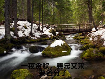 云锦书裴时砚完整版（一夜贪欢，裴总又来要名分了小说）全文免费阅读无弹窗大结局_一夜贪欢，裴总又来要名分了最新章节（云锦书裴时砚小说）