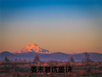 姜未箬沈墨诀小说大结局免费阅读，沈墨诀姜未箬抖音新上热文分享