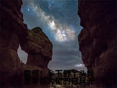  沈星晚傅霆夜（震惊！乡下野丫头竟是禁欲大佬的白月光）今日爆款小说-（ 沈星晚傅霆夜）震惊！乡下野丫头竟是禁欲大佬的白月光完结大结局免费阅读