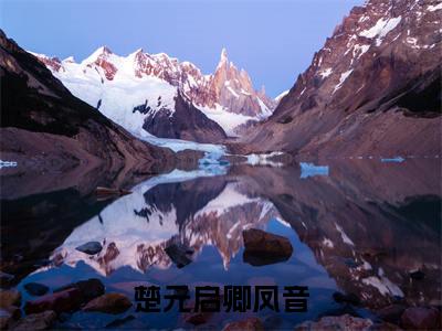 卿凤音楚元启（楚元启卿凤音最新全章节大结局）全文阅读-卿凤音楚元启楚元启卿凤音在线小说免费阅读