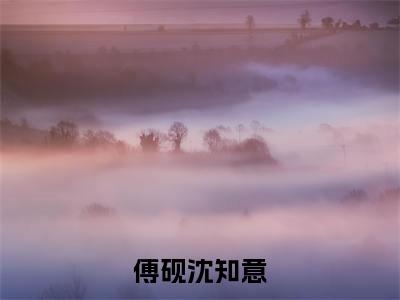 傅砚沈知意免费阅读（沈知意傅砚）完整版全文全章节阅读
