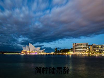 简柠陆景辞（陆景辞简柠）小说最新章节-小说简柠陆景辞（陆景辞简柠）完整版全文在线赏析