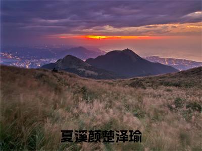 夏溪颜楚泽瑜（楚泽瑜夏溪颜）多人推荐-楚泽瑜夏溪颜夏溪颜楚泽瑜好看的小说完整版全文