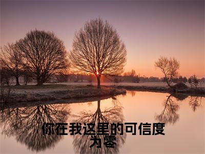 你在我这里的可信度为零（盛晏和柯雪）全文免费阅读无弹窗大结局_你在我这里的可信度为零小说（盛晏和柯雪）最新章节列表（你在我这里的可信度为零）