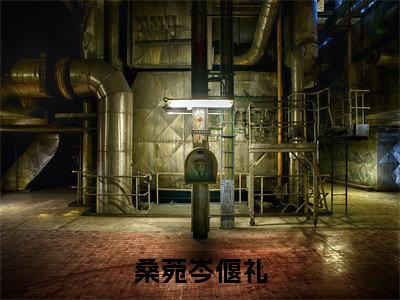 岑偃礼桑菀（桑菀岑偃礼）精选小说大结局阅读-抖音新书热荐岑偃礼桑菀