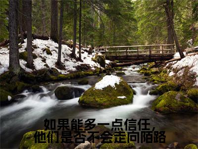 如果能多一点信任，他们是否不会走向陌路是什么小说，如果能多一点信任，他们是否不会走向陌路（林姣媛颜江辰）完整章节在线阅读