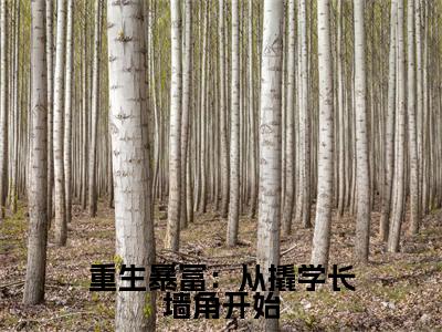 重生暴富：从撬学长墙角开始小说_杨辰苏颜全文阅读 重生暴富：从撬学长墙角开始小说免费阅读笔趣阁