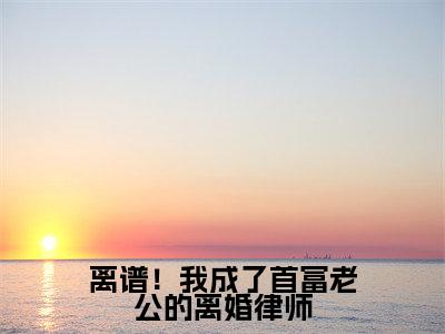 陆辛夷司烨全文免费阅读大结局 离谱！我成了首富老公的离婚律师小说最新章节阅读无弹窗