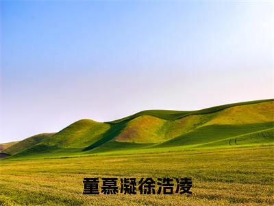 童慕凝徐浩凌小说全文免费阅读-徐浩凌童慕凝小说最新章节列表（童慕凝徐浩凌）