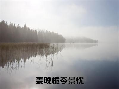 （姜晚栀岑景忱）全文免费阅读-姜晚栀岑景忱（姜晚栀岑景忱）最新章节列表阅读