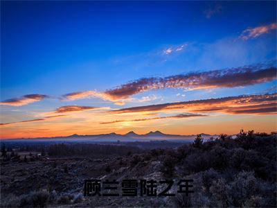 顾兰雪陆之年（陆之年顾兰雪）热门小说最新章节阅读-（顾兰雪陆之年）陆之年顾兰雪全文免费阅读