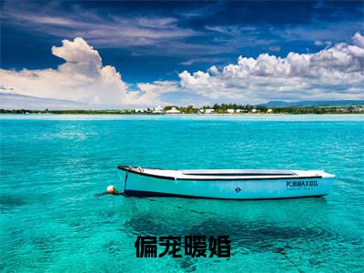 偏宠暖婚(苏澜周司爵）小说全文免费读无弹窗大结局_偏宠暖婚小说全文免费阅读最新章节列表笔趣阁（苏澜周司爵）