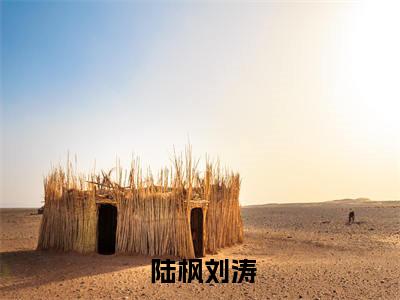 小说谁说我是军工企业？我告你诽谤啊免费阅读无弹窗，小说 陆枫刘涛大结局全文免费阅读