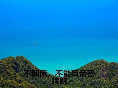 沈青禾战叙北小说（不同床，不能有亲密接触）免费阅读_沈青禾战叙北小说免费阅读-笔趣阁