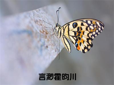 言渺霍昀川小说免费阅读霍昀川言渺小说全文免费阅读_（言渺霍昀川）霍昀川言渺最新章节列表笔趣阁