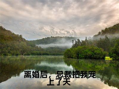 离婚后，总裁把我宠上了天 （慕言旭秦安安）全文阅读_小说离婚后，总裁把我宠上了天 免费阅读（慕言旭秦安安）笔趣阁