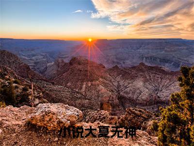 小说大夏无神，但有十亿真龙全文免费在线阅读大结局_（ 楚风陆惊明免费阅读无弹窗）小说大夏无神，但有十亿真龙全文免费完结版阅读（ 楚风陆惊明）