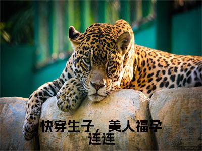 快穿生子，美人福孕连连小说全文免费阅读无弹窗大结局-纪云欢 小说在哪里可以看