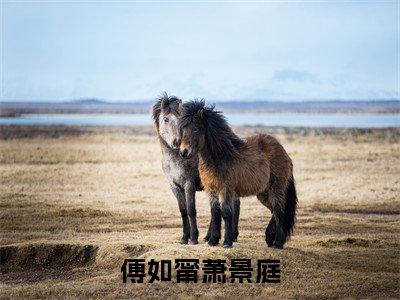 萧景庭傅如甯全文免费阅读大结局 傅如甯萧景庭小说最新章节阅读无弹窗