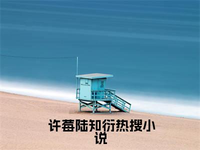 暗恋成真，我和女神先婚后爱（ 许莓陆知衍）小说全文免费阅读- 许莓陆知衍小说最新章节完整版