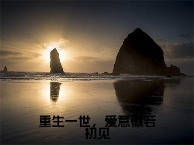 重生一世，爱意似若初见全文免费阅读在线阅读 黎锦儿顾青云全文免费阅读最新章节列表_笔趣阁