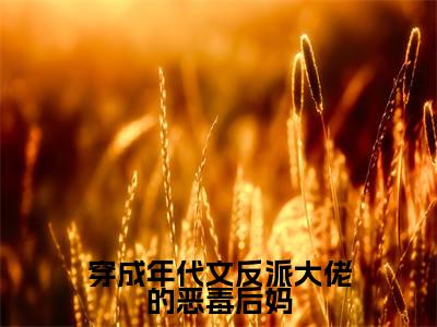 小说穿成年代文反派大佬的恶毒后妈全文阅读无弹窗大结局_（艾心林阳）穿成年代文反派大佬的恶毒后妈最新章节列表_笔趣阁