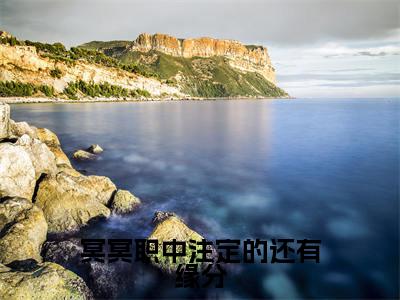 小说白初秦瑜（冥冥职中注定的还有缘分小说免费阅读）完结阅读，白初秦瑜在线阅读