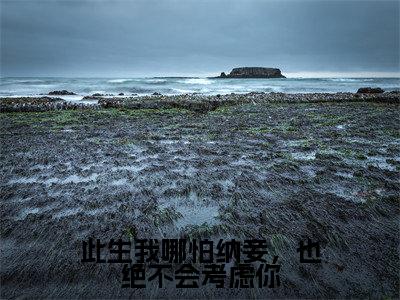 此生我哪怕纳妾，也绝不会考虑你小说（韩楚玥凌冀北楚泠霜）最新章节阅读-此生我哪怕纳妾，也绝不会考虑你（韩楚玥凌冀北楚泠霜）免费阅读无弹窗大结局