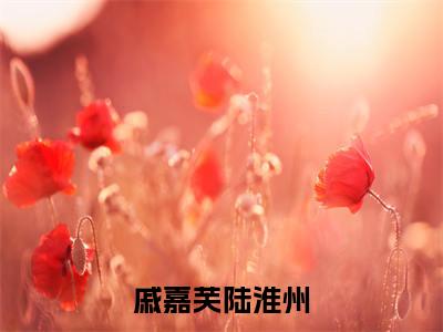 戚嘉芙陆淮州在线阅读（陆淮州戚嘉芙）全文免费阅读无弹窗大结局_陆淮州戚嘉芙最新章节列表笔趣阁（戚嘉芙陆淮州）