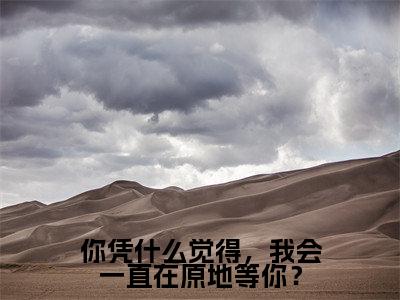 你凭什么觉得，我会一直在原地等你？(时若宸)全文在线阅读无弹窗_你凭什么觉得，我会一直在原地等你？小说全文大结局