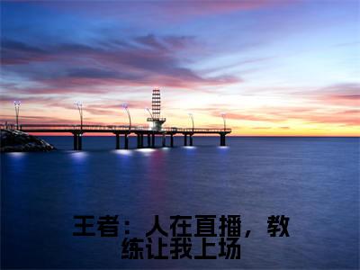 王者：人在直播，教练让我上场全文免费在线阅读_（江尘全文免费阅读无弹窗大结局）王者：人在直播，教练让我上场最新章节列表_笔趣阁