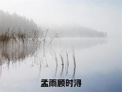 孟雨顾时浔小说无弹窗（顾时浔孟雨）全文免费阅读无弹窗大结局_(顾时浔孟雨）顾时浔孟雨最新章节列表_笔趣阁（孟雨顾时浔）