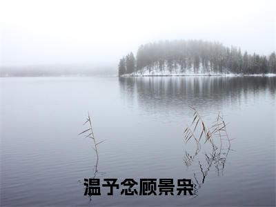 温予念顾景枭（顾景枭温予念）全文免费大结局小说-温予念顾景枭全文最新章节阅读