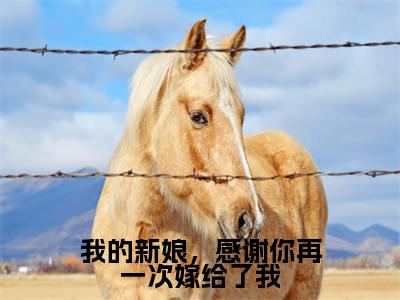 我的新娘，感谢你再一次嫁给了我全文免费阅读无弹窗大结局_（傅修林池紫艺无弹窗）我的新娘，感谢你再一次嫁给了我全文阅读最新章节列表笔趣阁